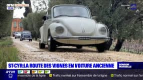 Saint-Cyr: la route des vignes à bord d'une voiture ancienne