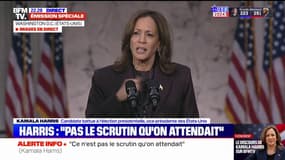 Élections américaines: "La transition du pouvoir se fera dans la paix", assure Kamala Harris