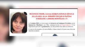 Depuis plus d’un an, Aurélie cherche à retrouver sa mère, Corinne Adobati, qui a disparu après un séjour à l'hôpital de Laragne.