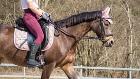 Une cavalière sur un cheval dans un centre équestre.