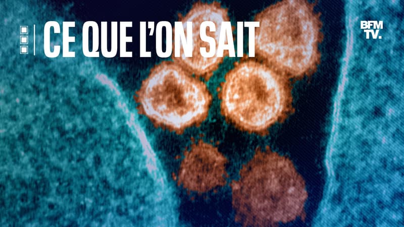 Cliché du Sars-CoV-2 au microscope le 28 juin 2021