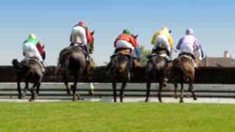 Les pronos hippiques du 25 janvier 2023
