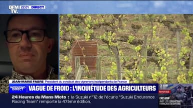 Jean-Marie Fabre (vigneron dans l'Aude, patrons des vignerons indépendants) s'inquiète de voir ses récoltes "amputées partiellement ou totalement" à cause des gelées