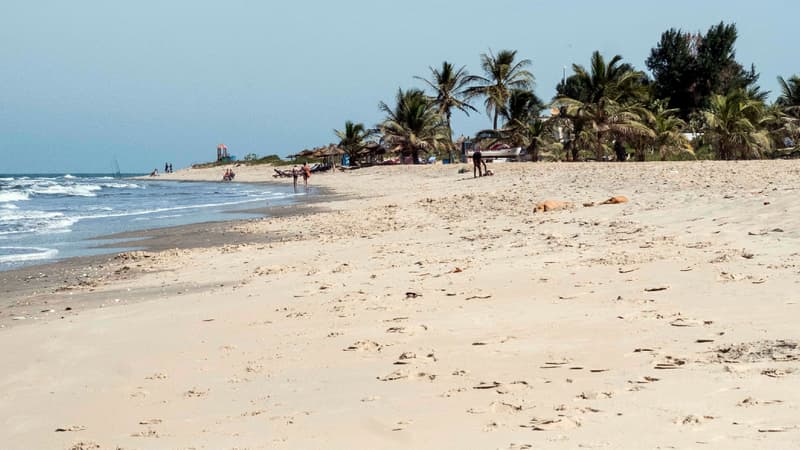 Une plage en Gambie. (Illustration.)