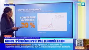 Île-de-France: le point sur l'épidémie de grippe au 10 janvier
