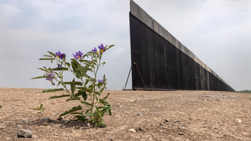 Une partie du mur frontalier entre les États-Unis et le Mexique restée inachevée, le 14 avril 2021 près de La Joya (Texas).