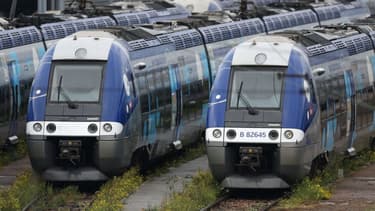 Des TER à l'arrêt (Photo d'illustration).