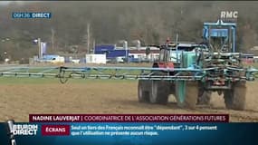 "Ce sont juste des rappels à la loi": les chartes anti-pesticides ne convainquent pas les riverains