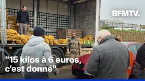 ROBIN DE BFM - Les pommes de terre de Jérémy rencontrent un franc succès en vente directe 