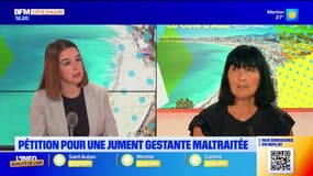 “Elle fait des balades à répétition”: Frédérique Goutard, présidente de l’association Cheval Libre, dénonce la maltraitance d’une jument