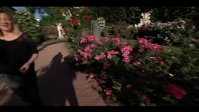 Matinale spéciale "Objectif Terre, bougeons nous": la météo en direct de la roseraie du Jardin des Plantes