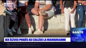Toulon: dix élèves piqués au collège de la Marquisanne