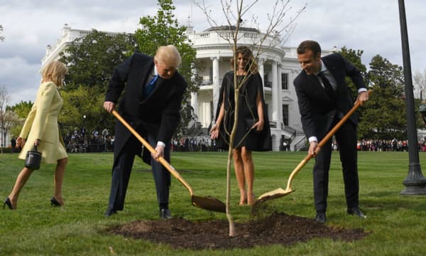 Donald Trump et Emmanuel Macron plantent un chêne français dans les jardins de la Maison Blanche, le 23 avril 2018. Donald Trump et Emmanuel Macron plantent un chêne français dans les jardins de la Maison Blanche, le 23 avril 2018.