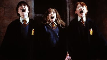 Harry Potter à l'école des sorciers