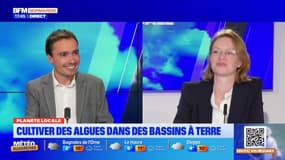 Planète locale du mercredi 26 février - Cultiver des algues dans les bassins à terre 