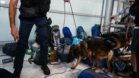 Images d'illustration - Contrôle de bagages à l'aéroport Roissy-Charles de Gaulle, le 3 juillet 2024