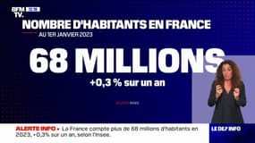 La France compte plus de 68 millions d'habitants malgré un niveau historiquement bas des naissances