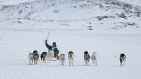 Une course de chiens de traîneau à Ilulissat au Groenland le 8 mars 2025 