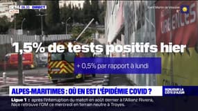 Alpes-Maritimes: où en est l'épidémie de Covid-19?