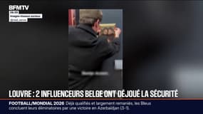Deux tiktokeurs belges défient la sécurité du Louvre et accrochent leur propre tableau 
