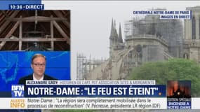 Notre-Dame: pour l'historien de l'art Alexandre Gady, "toute l'eau qui a été lancée sur la cathédrale va se retourner contre la cathédrale"