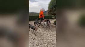 Des chasseurs sur le terrain de Luc Besson, le vendredi 21 février, dans l'Orne