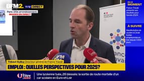 Le marché du travail "a connu un ralentissement" en 2024, selon le directeur de France Travail