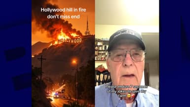 Les vidéos générées par IA sont de plus en plus réalistes et nombreuses sur les réseaux sociaux.