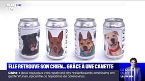 Une Américaine retrouve son chien... grâce à une canette