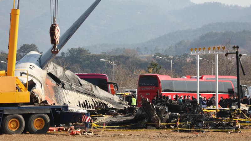 Crash en Corée du Sud: des plumes d'oiseau retrouvées dans les moteurs de l'avion, selon un rapport