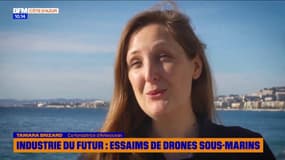 Industries du Futur : Essaims de drones sous-marins