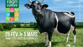 L'affiche du Salon International de l'Agriculture 2017