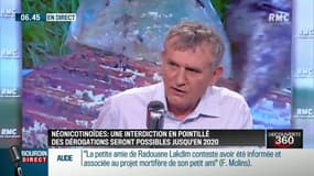 "On a plus de 300 000 ruches qui meurent chaque année"
