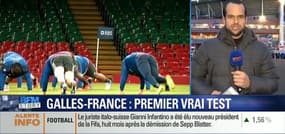 Tournoi des Six Nations: Le XV de France à l'épreuve du feu au Pays de Galles