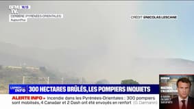 Pyrénées-Orientales: 300 hectares burned in an ongoing fire between Cerbère and Banyuls-sur-Mer