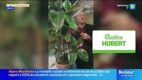 Jardinage, Titanic et Jeux vidéo...- La météo de Colas du mardi 18 novembre 2025