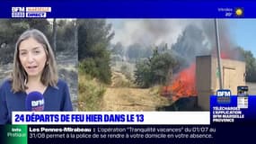 Vitrolles: un incendie parcourt 8 hectares, le point sur la situation ce vendredi matin