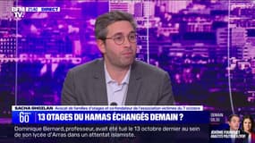 Libération des otages du Hamas: "Toutes les familles sont dans une attente insoutenable", affirme Sacha Ghozlan (avocat de familles d’otages et co-fondateur de l’association des victimes du 7 octobre)