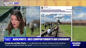 Le choix de Lisa - Mémorial d'Auschwitz: des comportements qui choquent