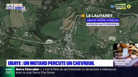 Ubaye: un motard percute un chevreuil