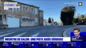 Salon-de-Provence: un homme se dénonce après le meurtre de deux octogénaires