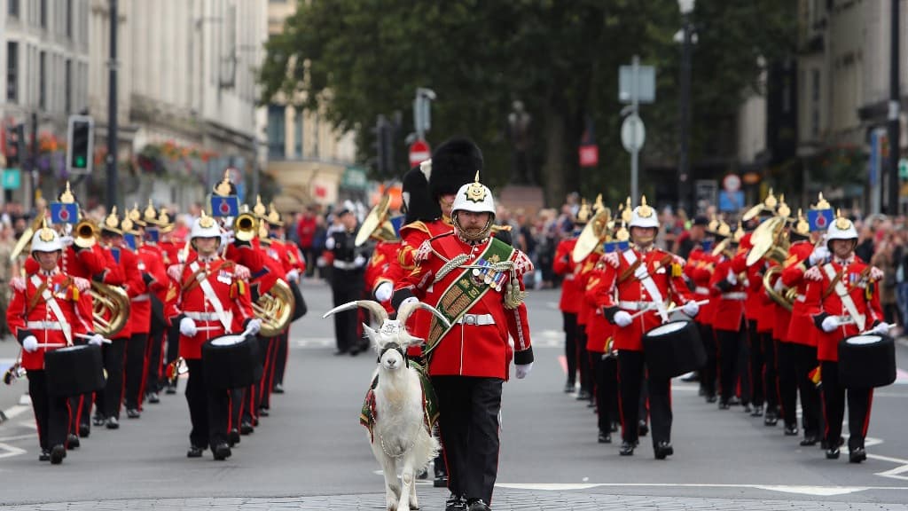 La fanfare du 3e Bataillon Royal Welsh et leur mascotte de bouc marchent vers le château de Cardiff, dans le sud du Pays de Galles, le 11 septembre 2022, avant la cérémonie de proclamation du roi Charles III de Grande-Bretagne.