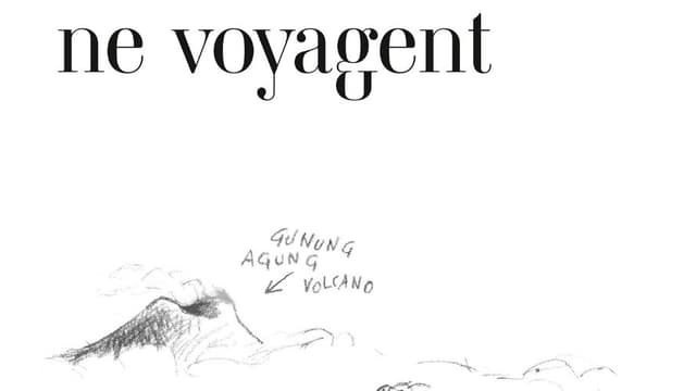 Jamais les papillons ne voyagent