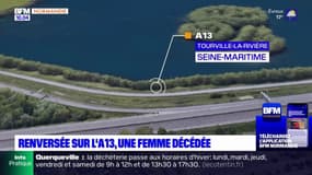 Seine-Maritime: une femme est morte après avoir été renversée par une voiture sur l'A13