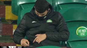 Mohamed Elyounoussi 