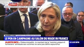 Réforme des retraites: Marine Le Pen soutient "sans aucune réserve" tous ceux qui iront manifester le 5 décembre