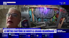 Un mur d'escalade, un espace d'exposition.. Le métro fantôme de Noisy-le-Grand en passe d'être réaménagé