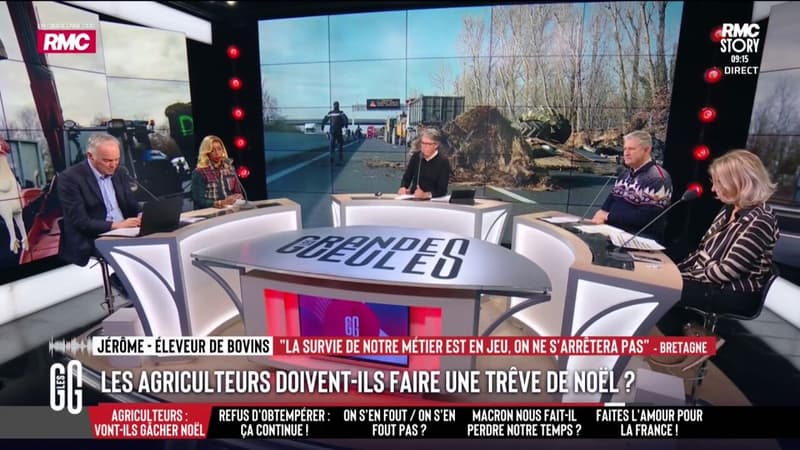 Blocages agricoles: "On ne s'arrêtera pas", annonce un éleveur de bovins avant Noël