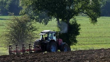 Les ventes de pesticides ont chuté en 2019.