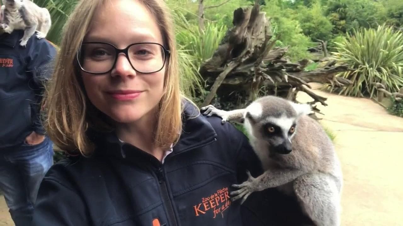 soigneur d un jour au zoo de la flèche